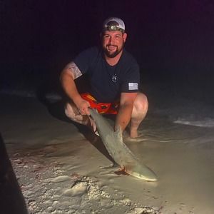 Meet your Posher, Trent